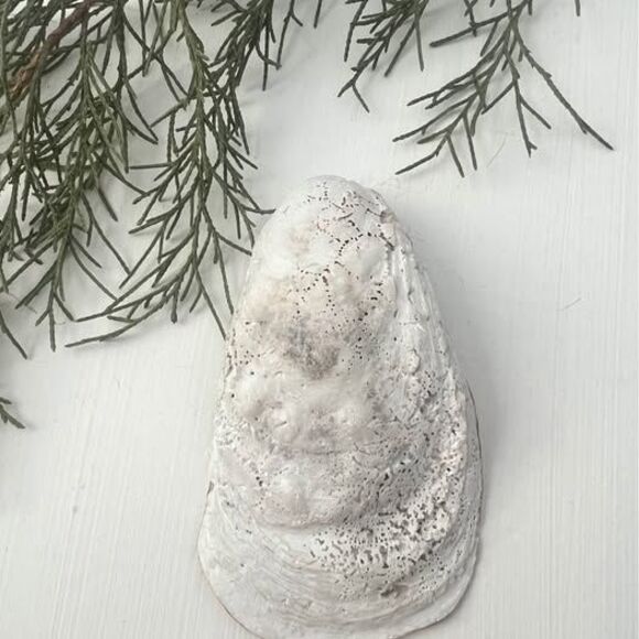 CLOSING SALE •3/$25• NWT Decorated  “Oh Come Let Us Adore Him” 3.5” Oyster Shell - Picture 2 of 2